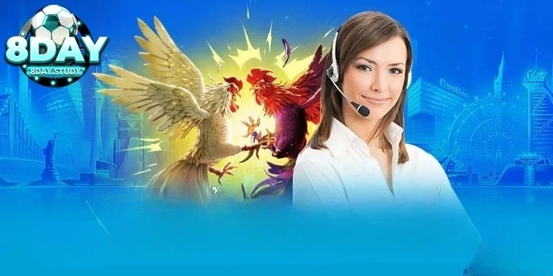 Lợi ích của chiến thuật trong đá gà Thomo