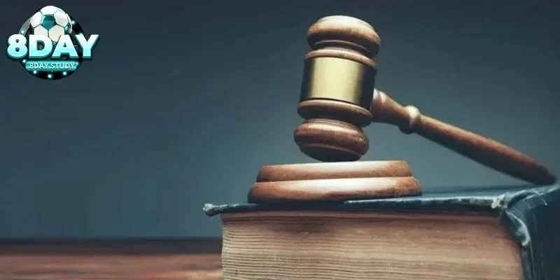 Miễn trách nhiệm 8Day 2 Những điều khoản cần chú ý trong chính sách miễn trách nhiệm 8Day