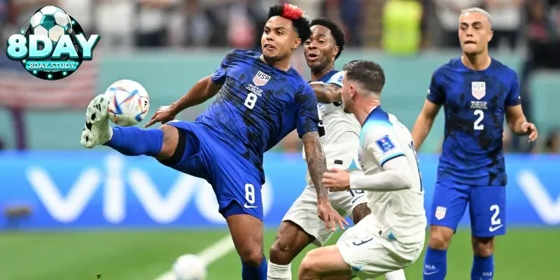 Phân tích tỷ lệ cược và thay đổi kèo