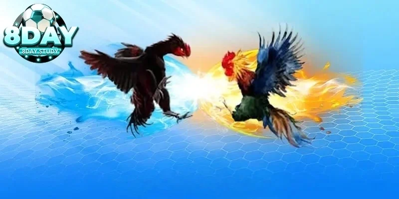 Quy định về thời gian và cách thức thi đấu