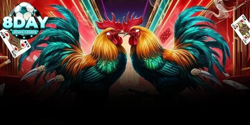 Tại sao phải chú ý đến việc tránh lừa đảo trong đá gà cựa sắt?